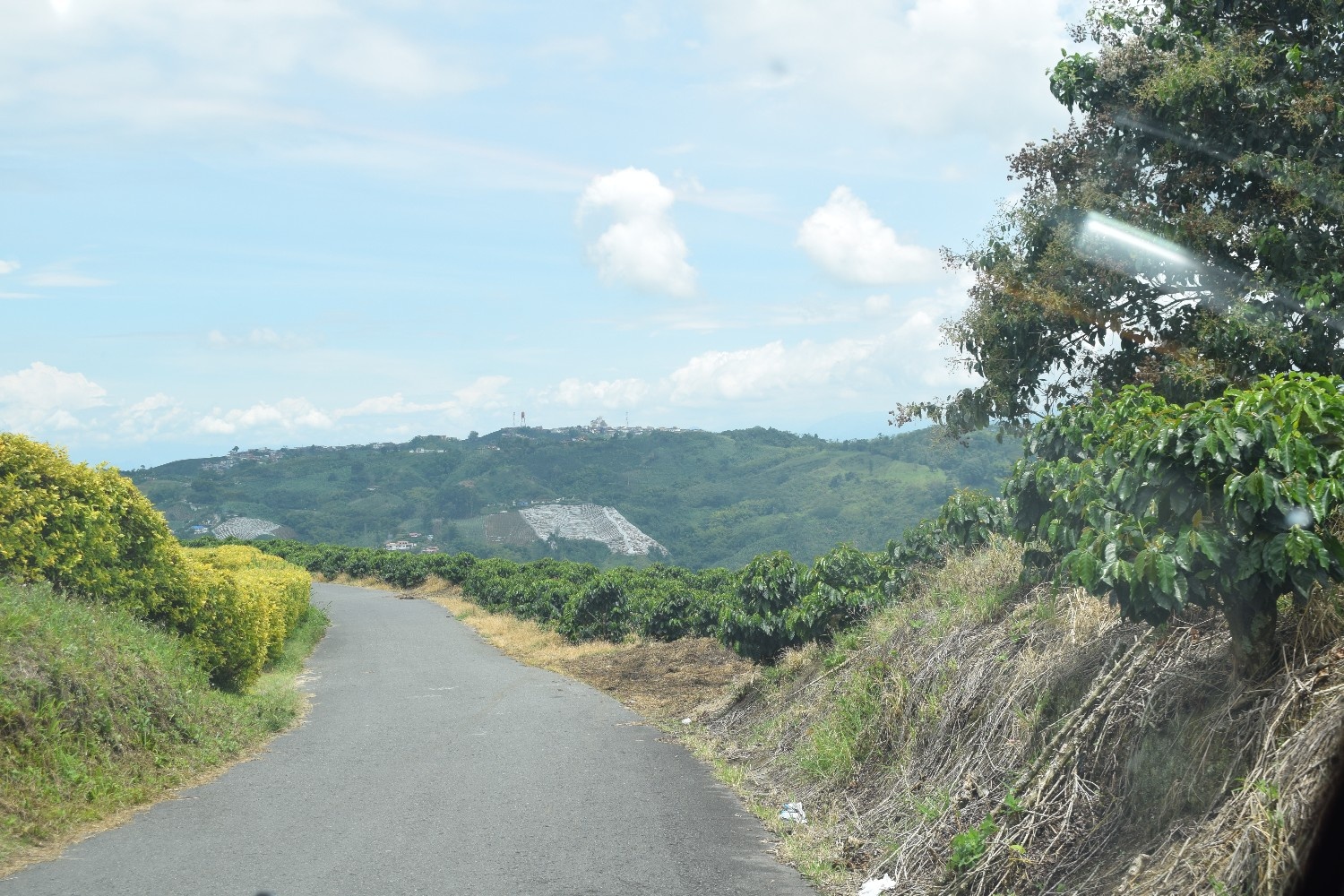 Blog 1